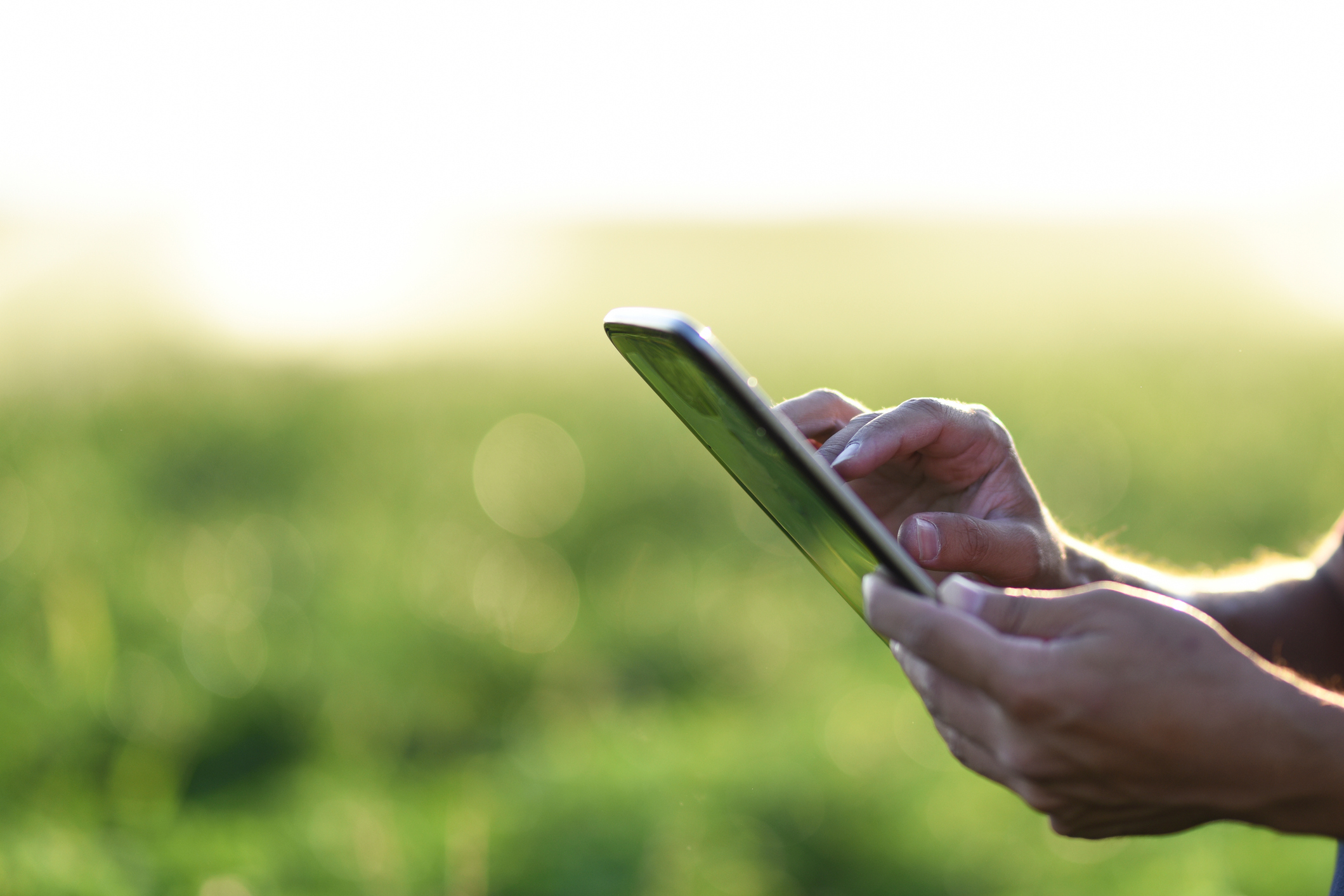Farmer using a digital tablet