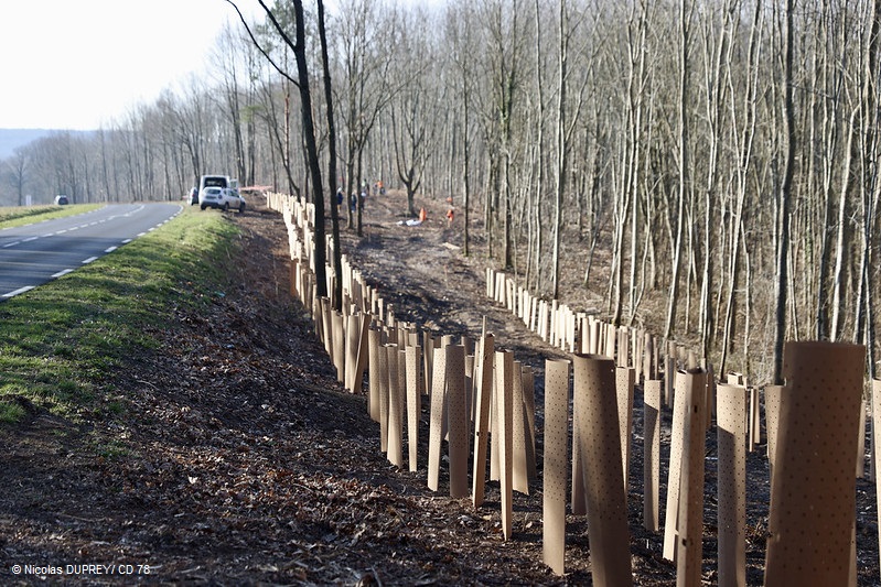 51937648469_5bdc224e28_c