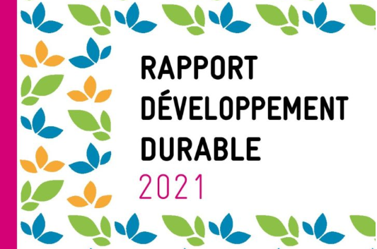 Rapport DD 2021