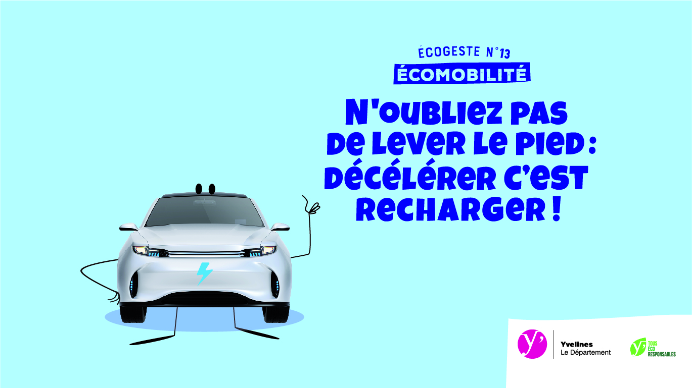 Wallpaper_Ecogeste_13