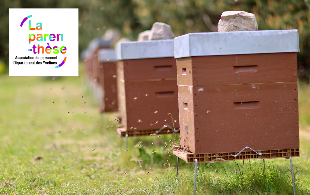 Visuel_Apiculture